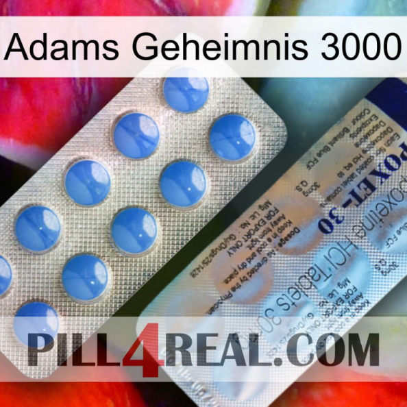 Adams Secret 3000 39.jpg